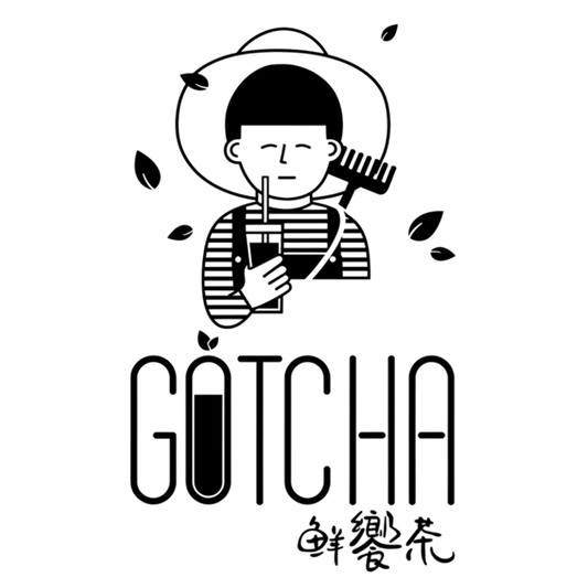 GOTCHA (PRÓXIMAMENTE)
